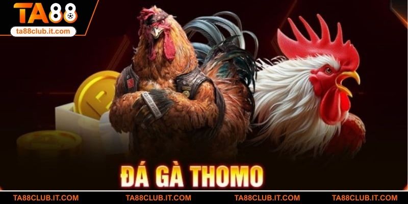 Giới thiệu về sảnh đá gà GA28 tại TA88