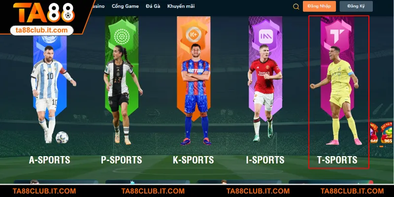 Sảnh sở hữu nhiều điểm mới lạ thu hút đông đảo hội viên